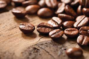 Coffee Shop 